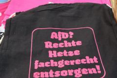 Gegen den Landesparteitag der AfD